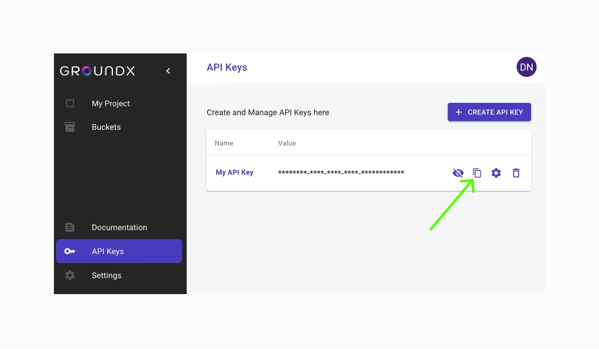 Copy Your API Key
